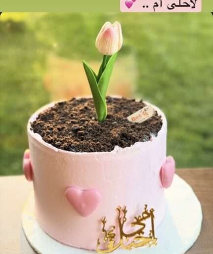 كاتو بي رقم ٣